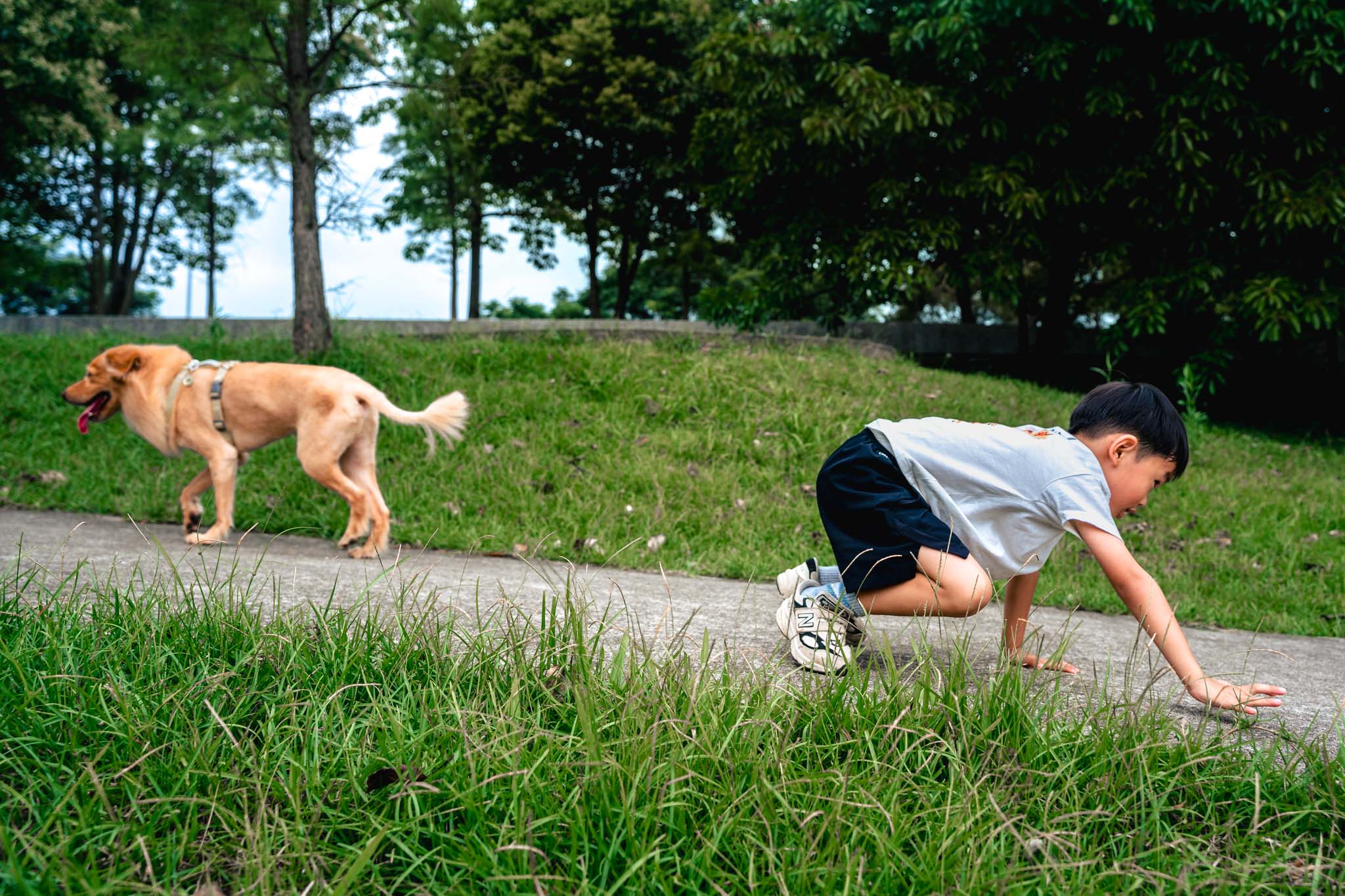Documentary image by Square O Tree Photography